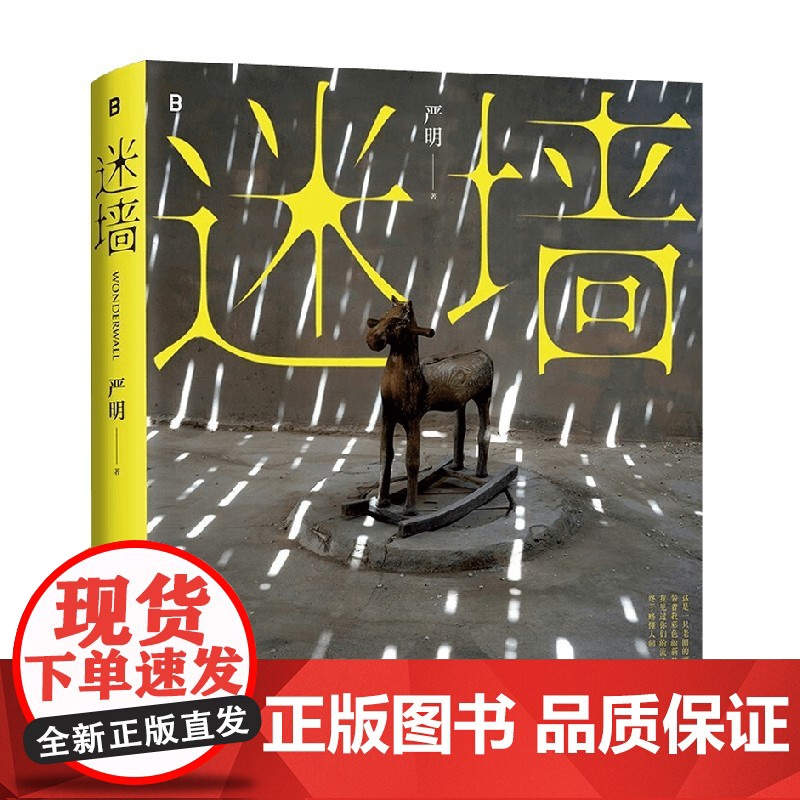 迷墙 中国名摄影师侯登科奖得主严明摄影作品集 2019-2023年彩色摄影作品照片写真图集册书籍收藏模仿参考素材高清大图