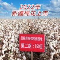 新疆棉花被子被芯春秋棉被冬被厚保暖铺底棉絮床垫被学生单人褥子