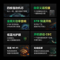 雷鸟雀4 25款43英寸4K 高清智能网络WiFi语音低蓝光认证液晶平板电视机43F195C
