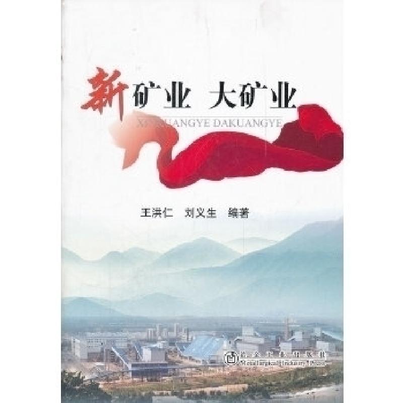 正版新书】新矿业大矿业王洪仁9787502458270