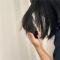 []英国tt梳子女家用防静电卷发梳魔法梳顺发神器便携美发梳 [家用款]紫罗兰[收藏]