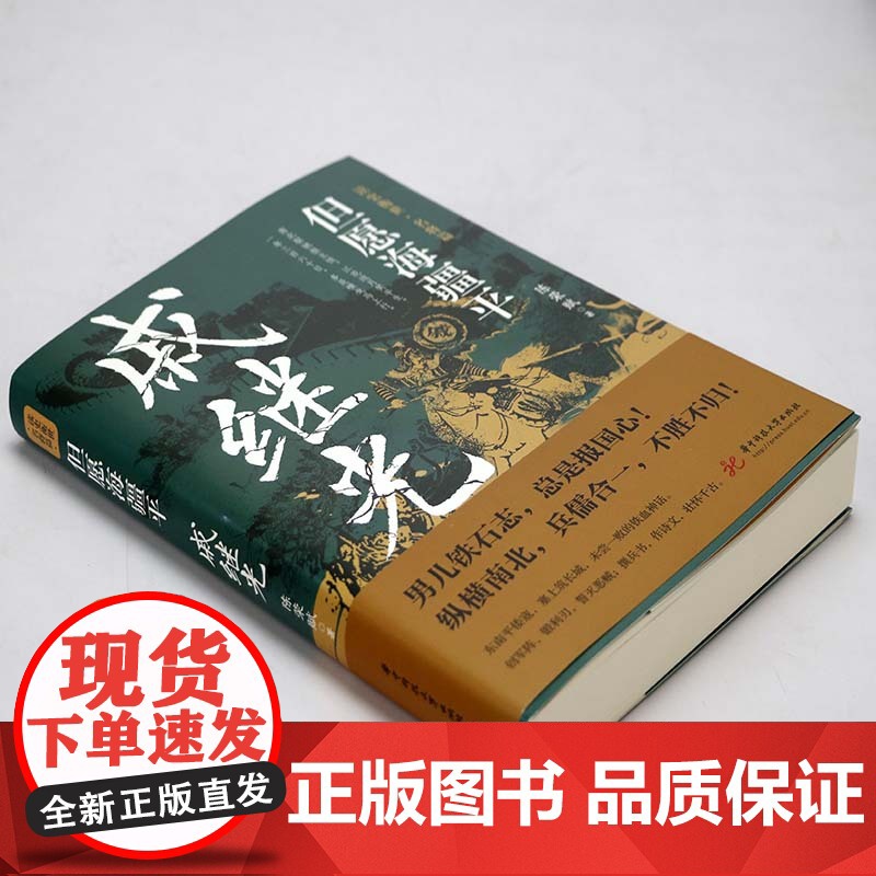 但愿海疆平:戚继光 读史衡世·名将篇 大明军神抗倭名将戚继光传军事兵法纪效新书历史人物传记书籍高清大图