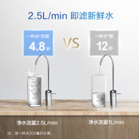 史密斯净水器家用 直饮净水机 反渗透过滤 整机质保5年 专利4年RO膜 1000G 2.5升/分钟 R2500SAR7