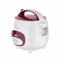 九阳(Joyoung) F-20Z05迷你电饭煲2升L一键式电饭锅煮饭煮粥保温