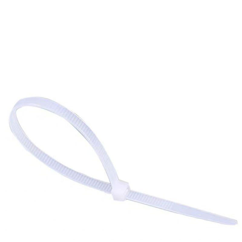 尼龙扎带 10*300mm 根高清大图