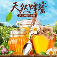 【中华特色】江华馆 野生纯蜂蜜500g装