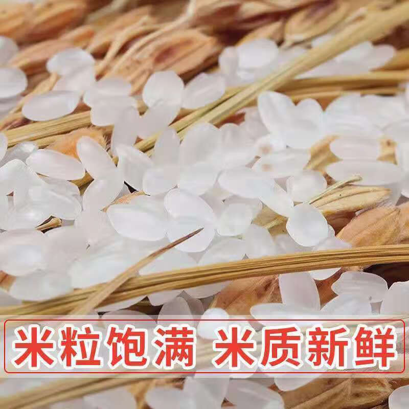 大荒金老农 东北寒地米5kg 颗粒饱满晶莹剔透 天然种植无添加 软糯香甜煮饭不粘锅高清大图