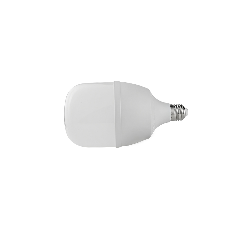 晫安联 ZX2101C AC220V 30W 6500K 螺口式 E27 LED 工业级节能灯泡 ( 计价单位：个）高清大图