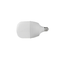 晫安联 ZX2101C AC220V 30W 6500K 螺口式 E27 LED 工业级节能灯泡 ( 计价单位:个))