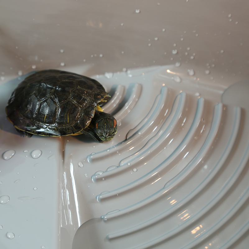 诺摩乌龟缸带晒台带盖塑料大号龟箱龟缸宠物鳄龟缸大型生态养龟盆高清大图
