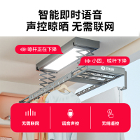 顶固(TOPSTRONG) 电动晾衣架升降 阳台智能晾衣架无线遥控升降自动晾衣机 P60-灰色 全屏照明+遇阻即停