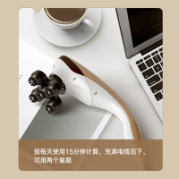 璐瑶(LUYAO)海豚按摩器棒多功能震动按摩锤背部腰部颈椎手持式敲打电动按摩仪 按摩棒+智能磁石