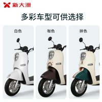 派乐/Palla电动车 GS1 Pro成人代步72V20Ah高颜值电动轻便摩托车 拼色