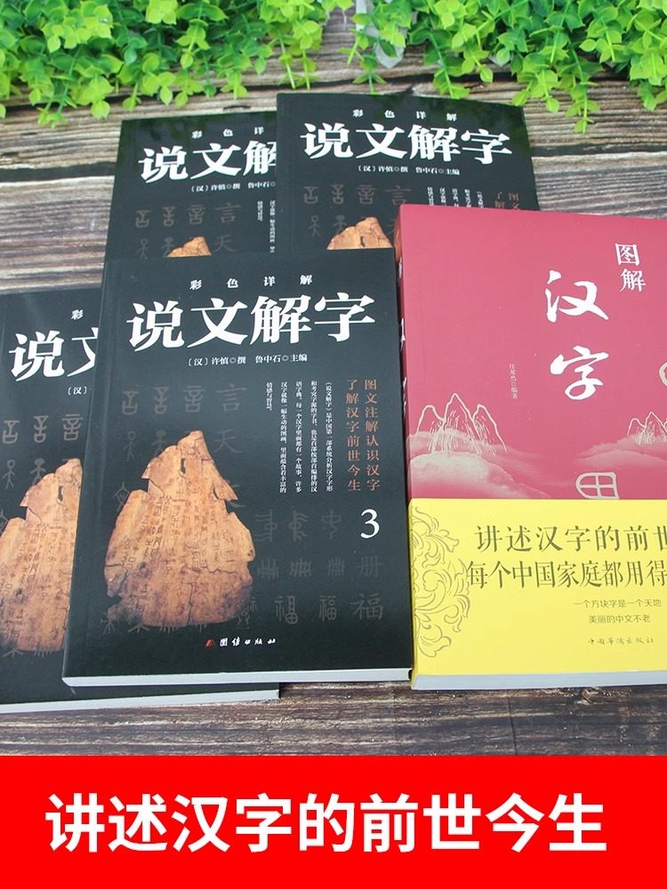 [正版]说文解字图解汉字全5册古代汉语字典古文字字典咬文嚼字细说汉字的故事图解图解详析今释全版说文解字大全集注解国学经高清大图