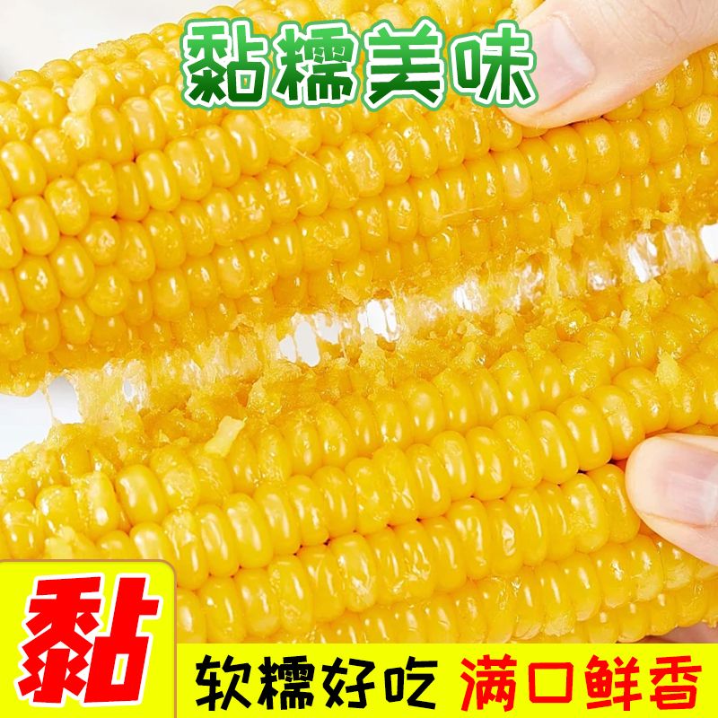 溢田和粮农业东北玉米220g黄糯玉米真空装 溢田黄糯玉米220g*8根高清大图