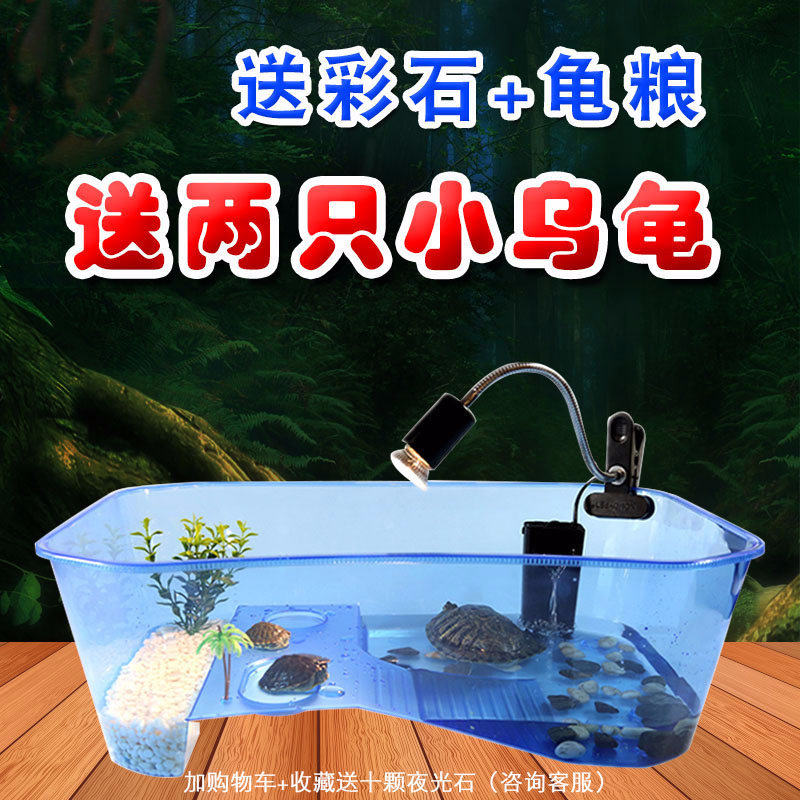 乌龟缸小养龟盆 大号带晒台鱼缸水陆缸乌龟塑料乌龟饲养盒箱高清大图
