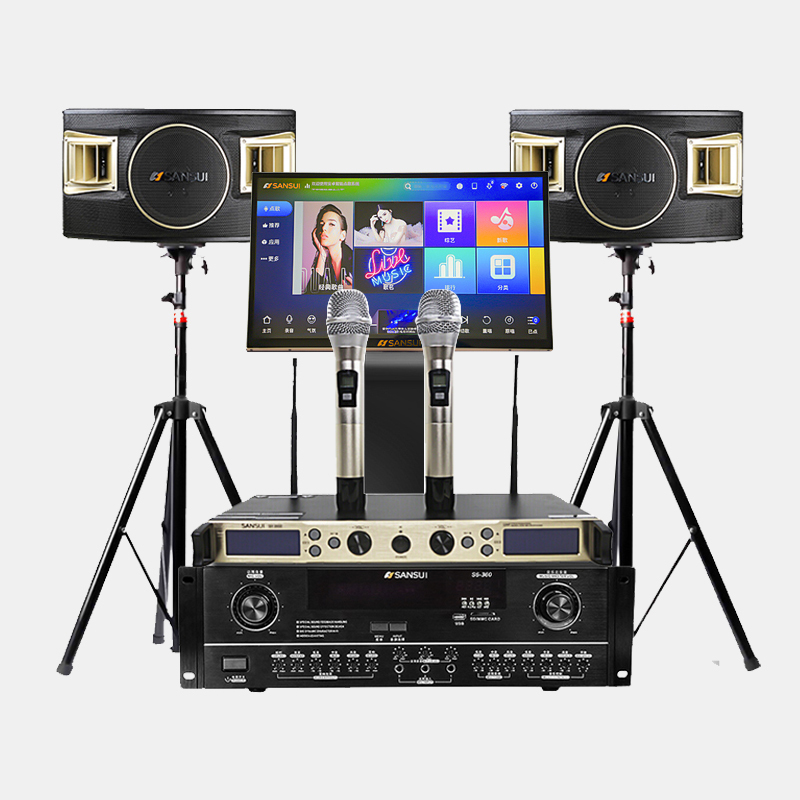 LR主扩扬声器