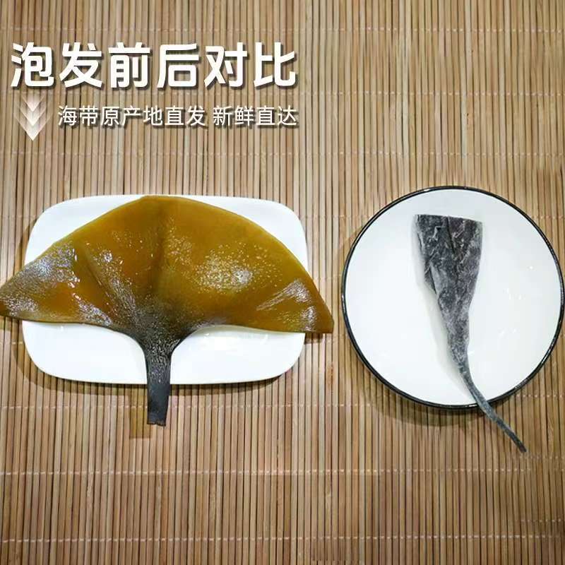 福建霞浦海带头干货厚实软糯海带根特厚海带梗高清大图