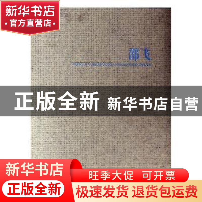 正版 中国当代艺术家邵飞作品集:【中英文本】 傅亚民主编 人民美