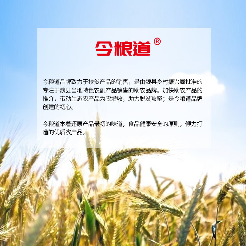 今粮道 原味面粉小麦粉中筋粉 馒头包子面条饼水饺通用粉 面面俱到(原味全麦粉)5KG高清大图