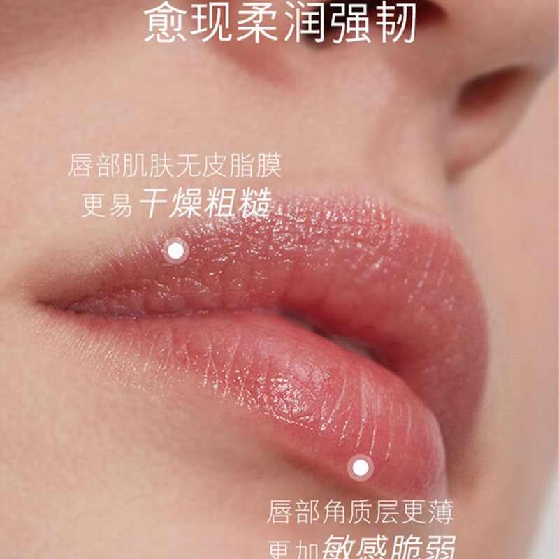 海蓝之谜( LA MER) 润唇霜(唇膜)9g高清大图