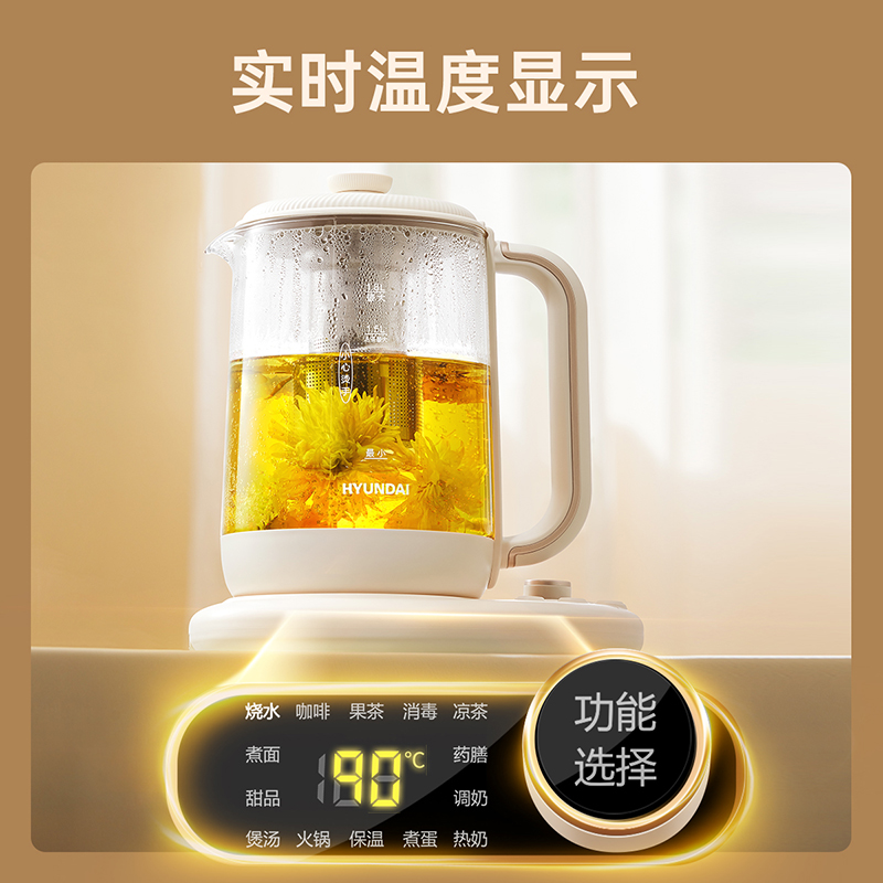 HYUNDAI 养生壶 1.8L电热水壶大加热功率多档火力调节安全防干烧 预约保温 HD-518H高清大图