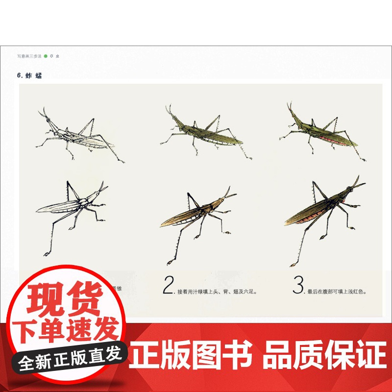 写意画三步法 虫草 写意虫草的画法 详细步骤解析 虫草教程 详细步骤解析 工笔水墨入门技法 上海人民美术出版社高清大图