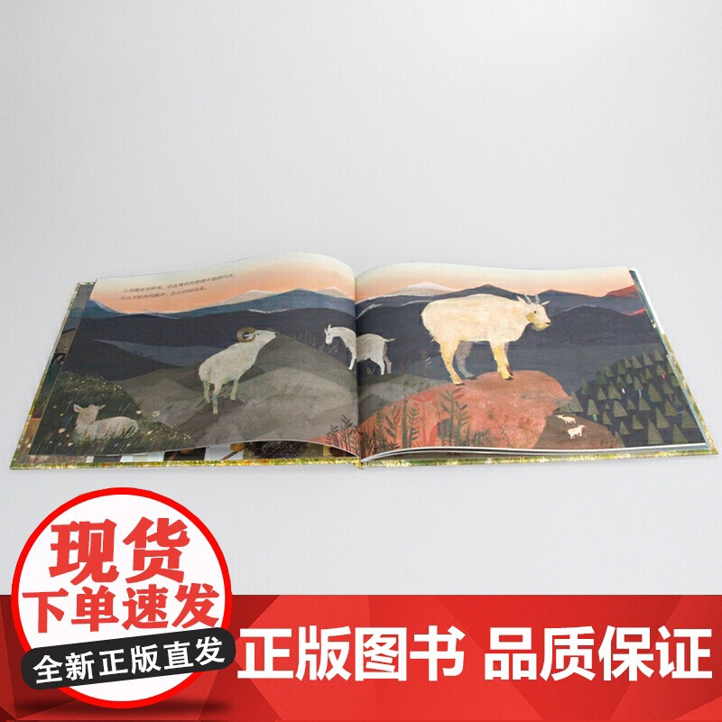 暖房子国际精选绘本·大山的秘密高清大图