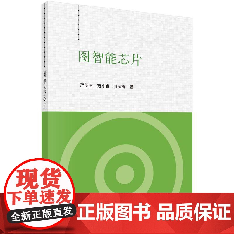 【按需印刷】图智能芯片