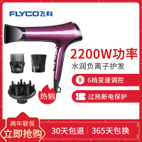 【限量100个】飞科电吹风机家用负离子冷热风大功率理发店专用专业大功率吹风筒不伤发 【FH6273】2200W功率
