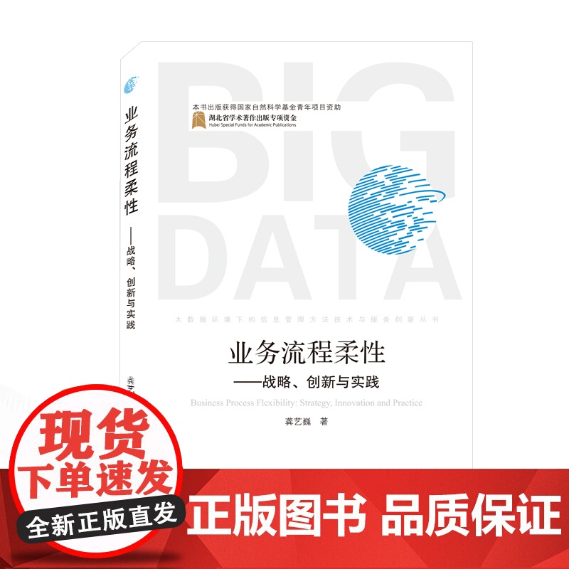 业务流程柔性--战略创新与实践/大数据环境下的信息管理方高清大图