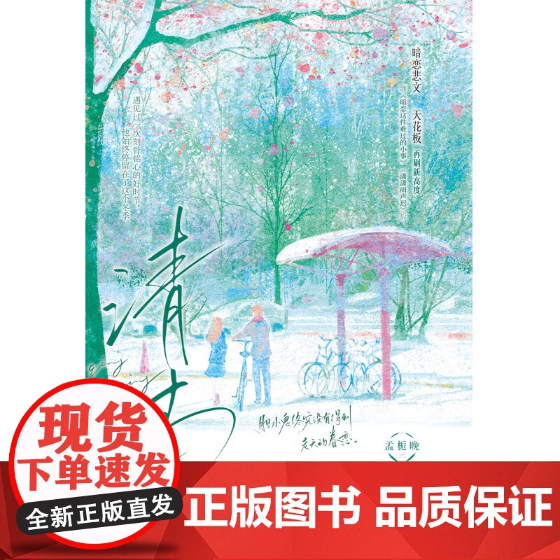 清清 中学青春言情小说继暗恋这件难过的小事潇潇雨声迟后又一力作青春文学校园双向暗恋be文言情小说 正版书籍高清大图