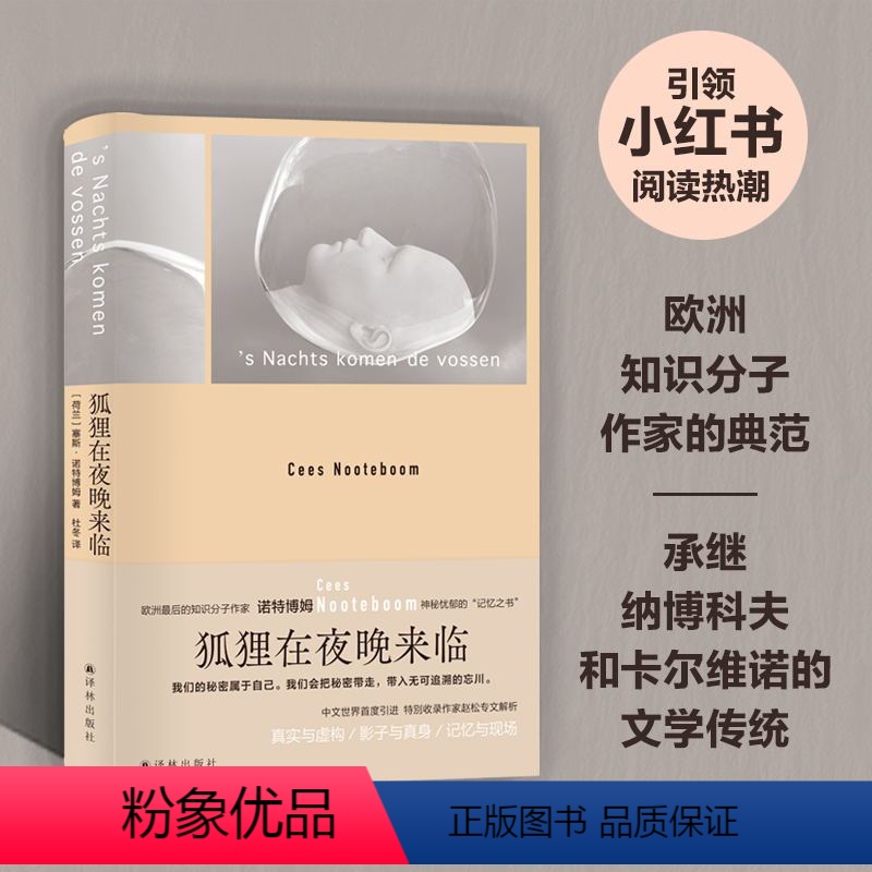 [正版]狐狸在夜晚来临 书写神秘忧郁的“记忆之书” 外国文学小说籍 八个忧郁基调的故事 以通灵者的超感追忆爱与故人