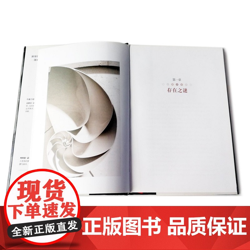 大设计 阐释宇宙 史蒂夫霍金 时间简史果壳中的宇宙霍金沉思录作者书籍 湖南科学技术出版社 自然科学类科普读物 正版书籍高清大图