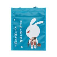 手拎补习袋小学生卡通补习包韩版文件袋男女通用补课包大号手提包 A042 看不惯