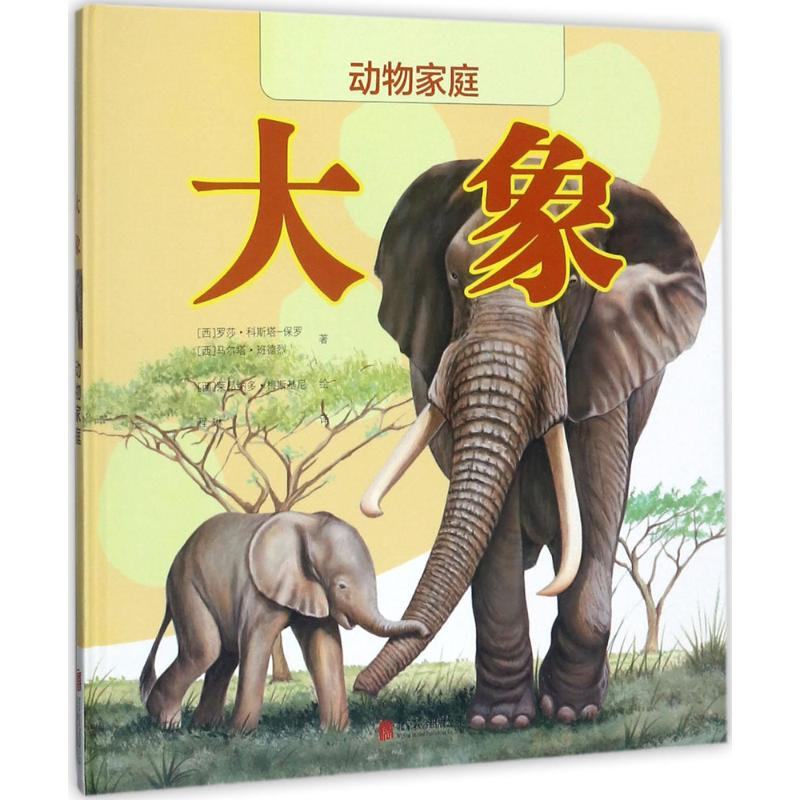 【N】大象-9787559604699