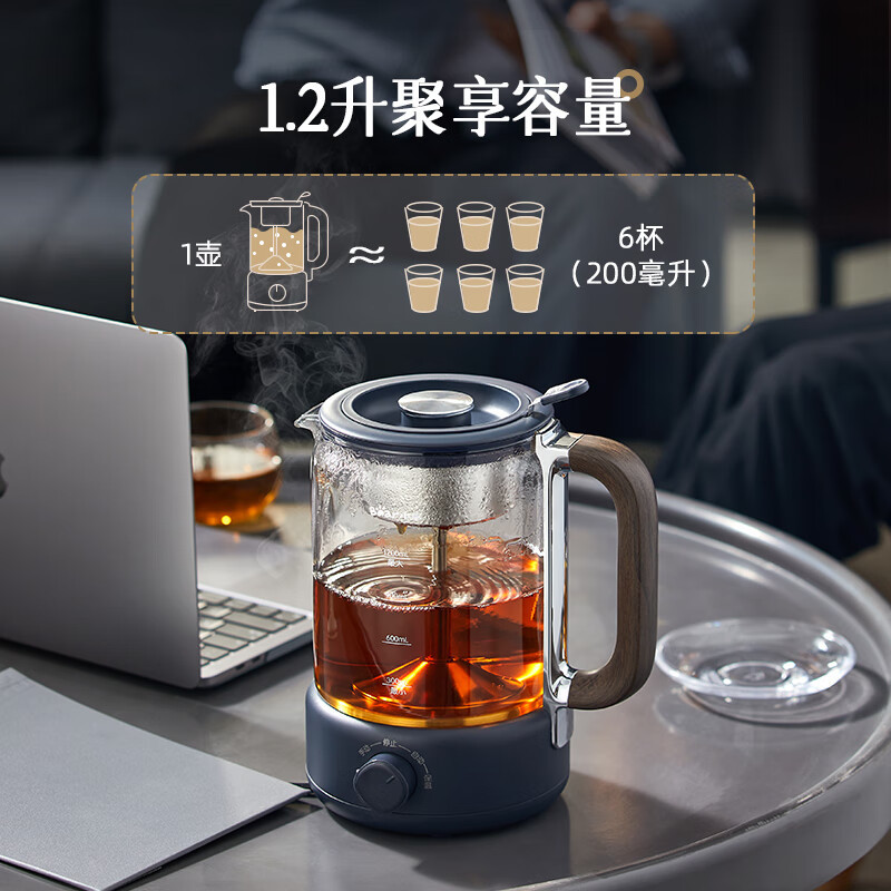小熊(Bear)养生壶1.2L大容量煮茶器煮茶壶 喷淋蒸茶壶泡茶壶 ZCQ-D12Z3