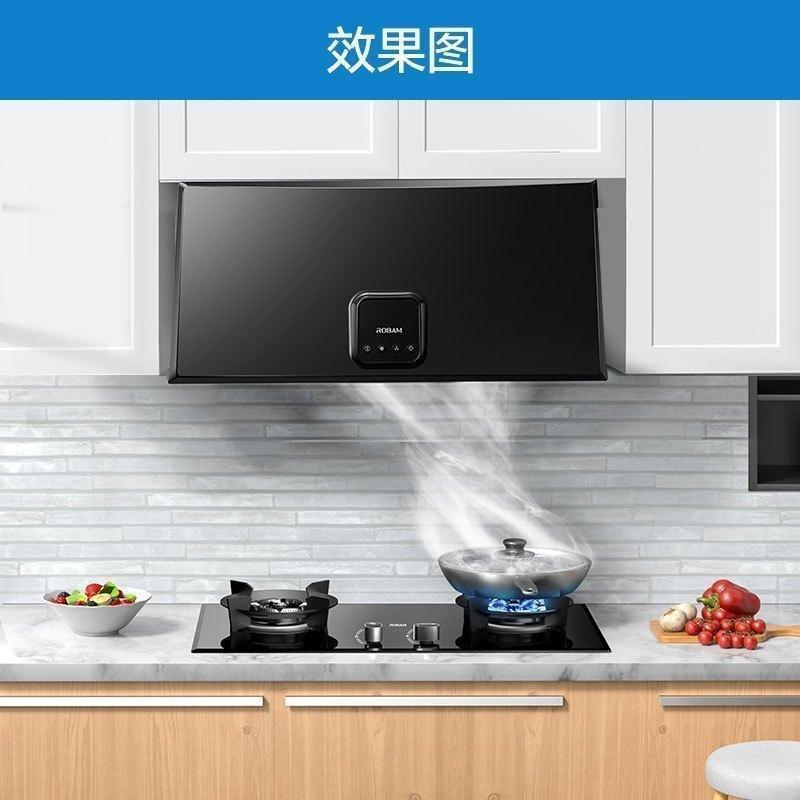 老板(ROBAM)油烟机 16m³大吸力 小尺寸抽油烟机中式 吸油烟机 单烟机 抽烟机 脱排油烟机 3009高清大图