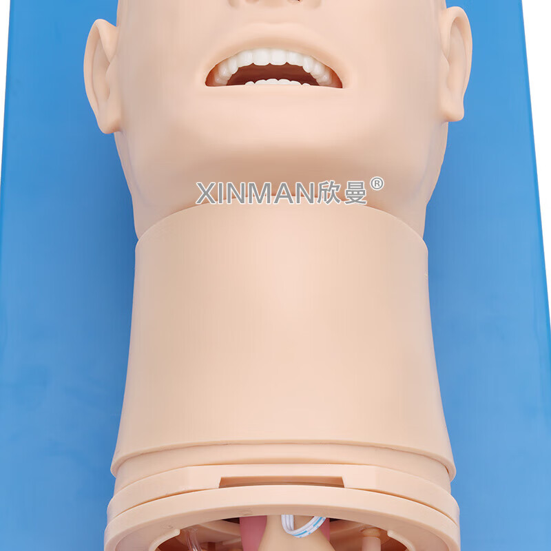 欣曼科教 高级气道管理模拟人 气管插管操作训练模型 卫勤训练模拟器材XM-QD12高清大图