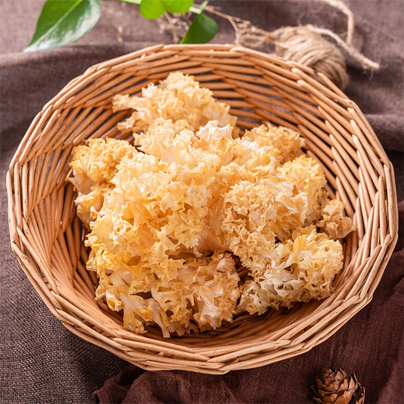 绣球菌干货当季新鲜云南特产煲汤绣球菇食用菌花瓣菇火锅食材9260高清大图