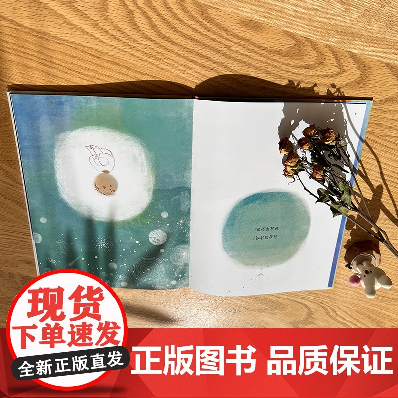 绿钢笔写的字(精装)梅子涵哲思图画书高清大图