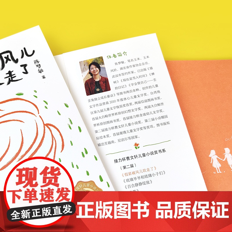 假装被风儿吹走了2024广东暑假读一本好书接力杯曹儿童小说奖书系9-12岁小学生初中课外阅读陈梦敏中国少年成长故事小说校高清大图