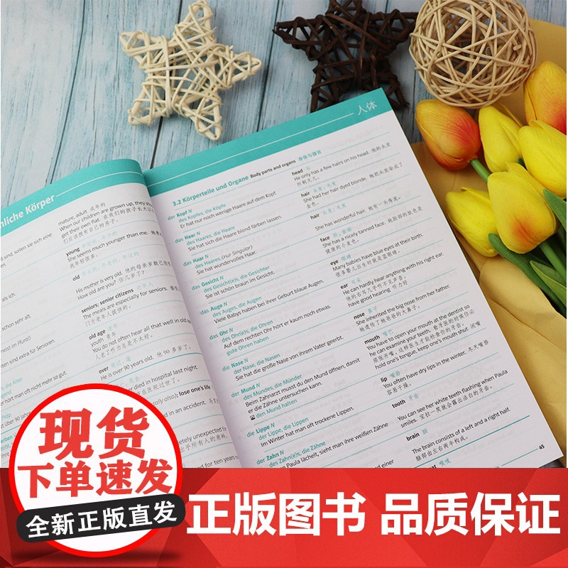 正版 德语分类词汇大全A1-B1+ 德英汉对照 海科 克吕格贝尔编 德英汉词汇 德语单词 德语工具书 同济大学出版社9高清大图