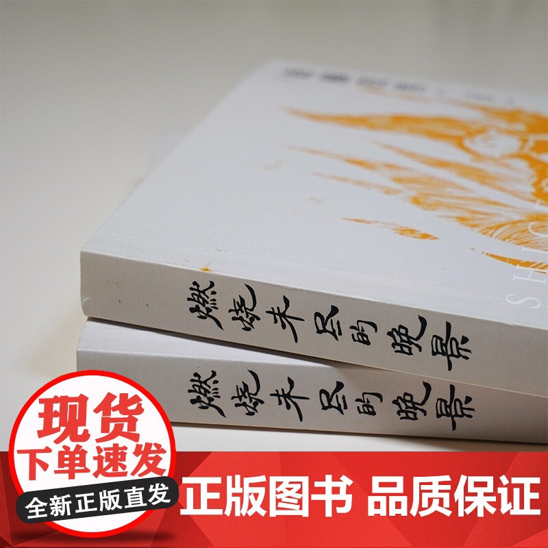 燃烧未尽的晚景 斋藤茂男 著 社会科学高清大图