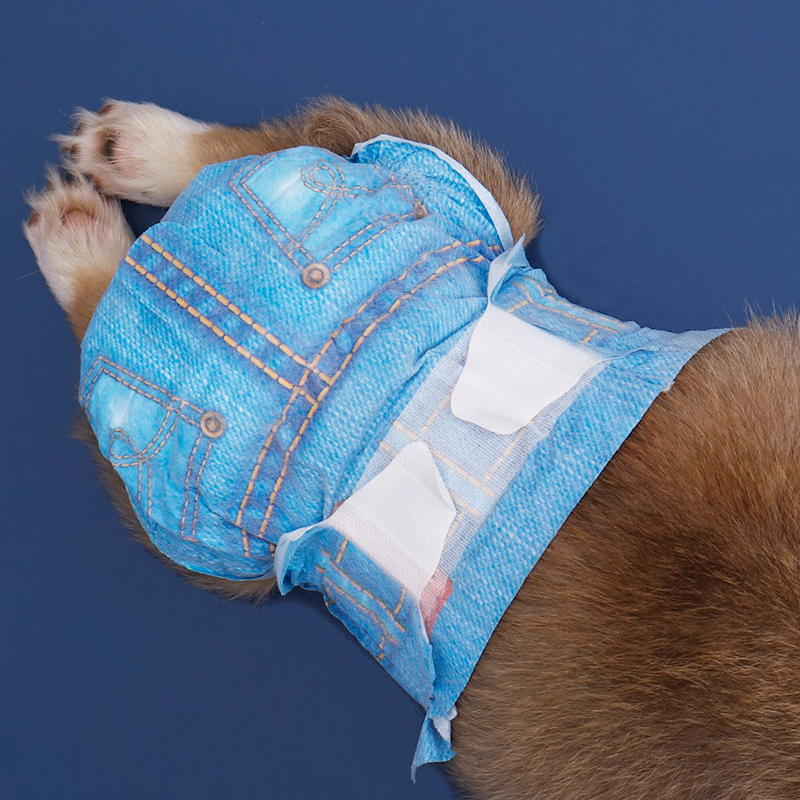 Honeycare狗狗纸尿裤小型母狗生理裤狗狗尿不湿女狗卫生巾狗狗专用纸尿裤