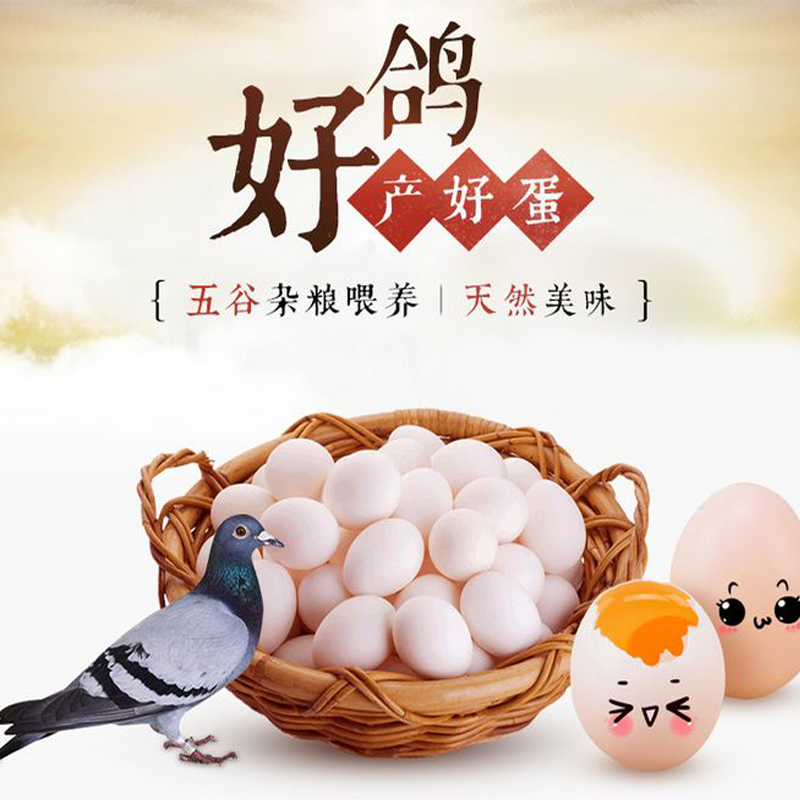 [熊猫鸟]新鲜鸽子蛋 40枚 17-22g/个 农家散养杂粮土鸽蛋白鸽蛋宝宝辅食高清大图