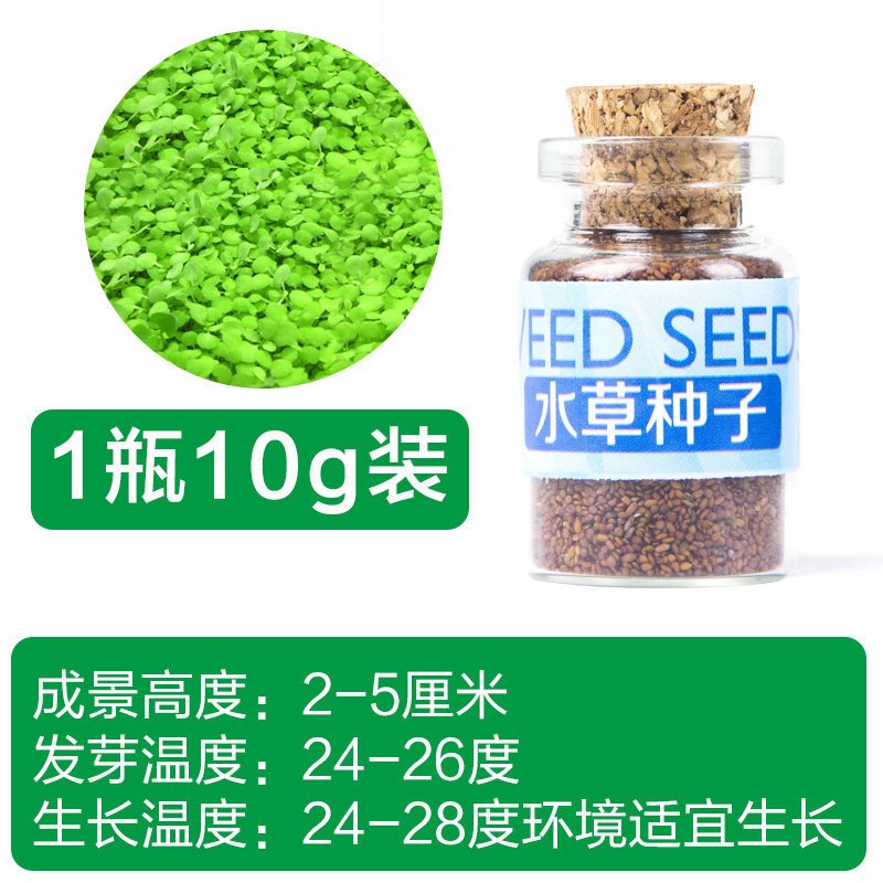 鱼缸水种籽不用泥的水种子牛毛毡珍珠水造景懒人水植物 迷你矮小对叶1瓶10g装 默认尺寸