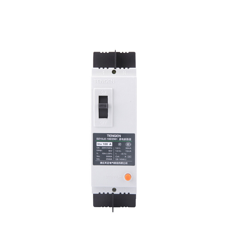 天正电气DZ15LE-100 5KA热磁式100A 2P 手动 固定式 220V 01020010008 塑壳漏电断路器