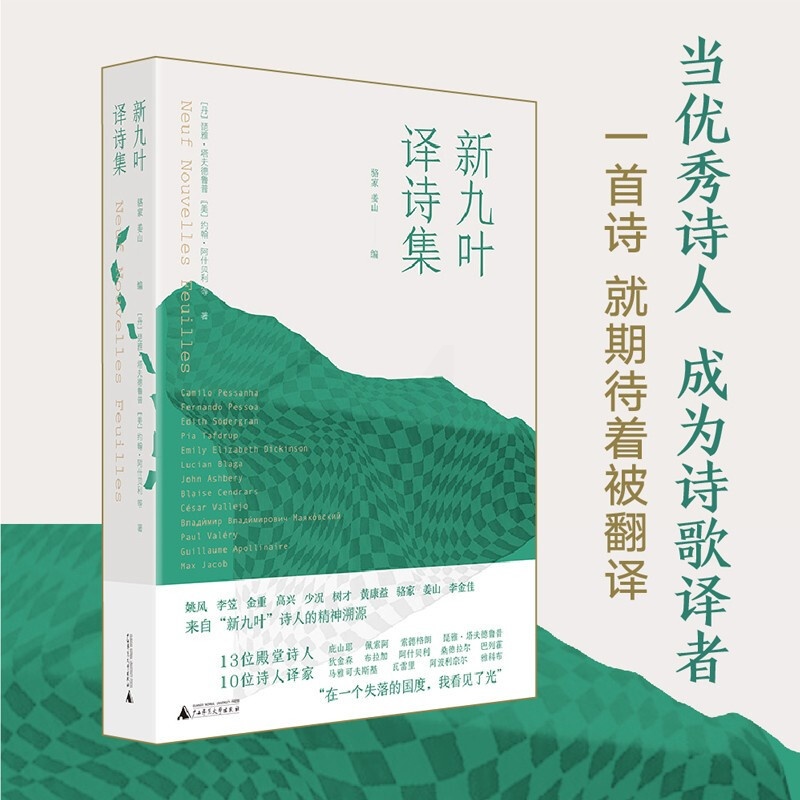 [正版] 新九叶译诗集 琵雅·塔夫德鲁普 等著 收藏200年世界诗歌精华 狄金森 佩阿索 诗人 外国诗歌诗词小说高清大图