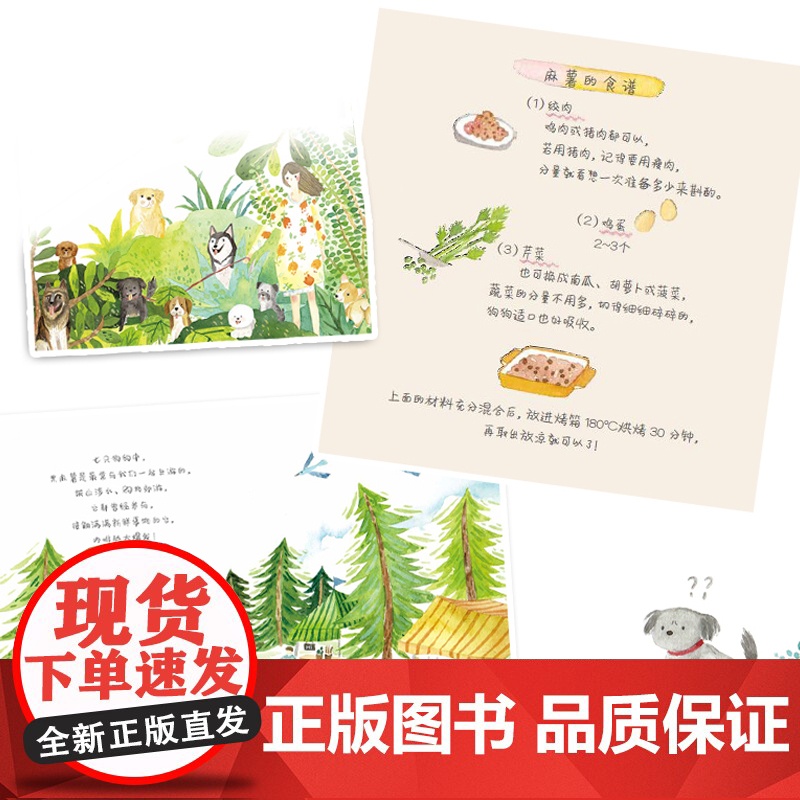 生活. 我的第一本狗狗照顾书 养狗的100个问题 爱狗养狗宠物狗手绘插画狗狗鲜食料理手工零食营养粉 宠物犬养营养高清大图